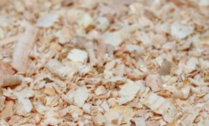 Wood Shavings